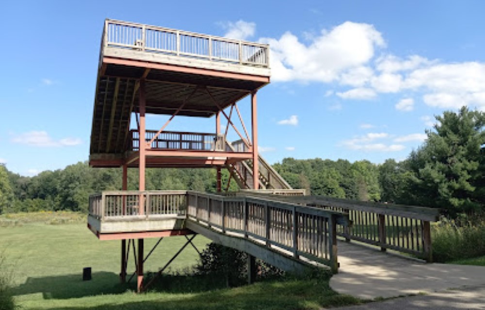 The Garden Inn Attraction Pictures